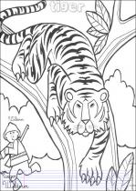 coloriage-tigre-1